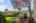 Blurred preview of media: 1-10