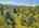 Blurred preview of media: DJI_20250802145741_0724_D_5_D_6_D_easyHDR