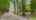 Blurred preview of media: 3025-3