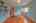 Blurred preview of media: IMG_1267_8_9
