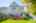 Blurred preview of media: IMG_0315