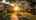 Blurred preview of media: Unknown media