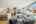Blurred preview of media: DSC08768