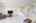 Blurred preview of media: iPixx_01_4