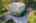 Blurred preview of media: 20250908L_lg_JW0086
