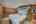 Blurred preview of media: Good Answer_-23