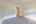 Blurred preview of media: IMG_5498_499_500