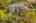 Blurred preview of media: Aerial 04