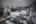 Blurred preview of media: Miss B Haven-25