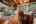 Blurred preview of media: PAX_2041