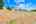 Blurred preview of media: 2-626-0275