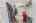 Blurred preview of media: 988 Grosbeak Trl (44)