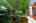 Blurred preview of media: Hamilton-38