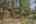 Blurred preview of media: 334 N Pine Meadows Rd - 55