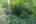 Blurred preview of media: 081A0220
