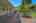 Blurred preview of media: 43