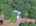 Blurred preview of media: DJI_20260616121546_0970_D_1_D_2_D_easyHDR