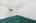 Blurred preview of media: 1-926-0359
