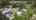 Blurred preview of media: Unknown media