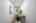 Blurred preview of media: DSC_6762