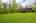 Blurred preview of media: Kerwood-37