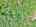 Blurred preview of media: DJI_20260527104759_0119_D_20_D_21_D_easyHDR