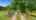 Blurred preview of media: DJI_20260603133329_0302_D