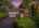 Blurred preview of media: Front Image May 11, 2026 at 06_51_29 AM