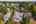 Blurred preview of media: 1-51