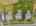 Blurred preview of media: DJI_20250807151202_0816_D