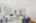 Blurred preview of media: 2bobwhite_031