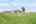 Blurred preview of media: 1801 Broadoak -55
