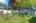Blurred preview of media: 1-31