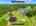 Blurred preview of media: 1-726--5