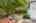Blurred preview of media: 1-50