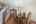 Blurred preview of media: Dining2