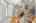 Blurred preview of media: DSC07558