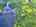 Blurred preview of media: DJI_20250616144237_0822_D_3_D_4_D_easyHDR