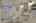 Blurred preview of media: 260140-32