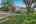 Blurred preview of media: 4519 Columbus Circle 1A-8