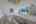 Blurred preview of media: 6V8A8528
