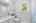 Blurred preview of media: Nerine_097