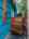 Blurred preview of media: 1-36