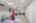 Blurred preview of media: 4 Bobby Jones Drive unit 4 Andover Massachusetts Job 40733 0018