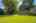 Blurred preview of media: s4