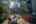 Blurred preview of media: TEL00491-HDR