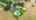 Blurred preview of media: 20141-3