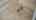 Blurred preview of media: Detail 04