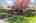 Blurred preview of media: 99 Beaver Road Reading Massachusetts Job 39079 0084