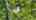 Blurred preview of media: DJI_0328-HDR